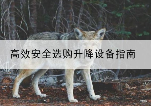 筠连升降货梯厂家推荐-*安全选购升降设备指南