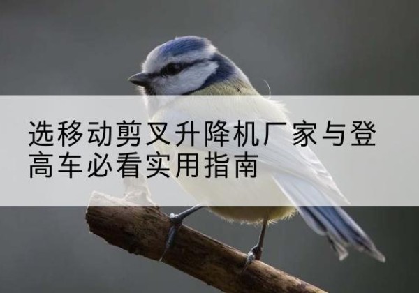 筠连电动升降机厂家-选移动剪叉升降机厂家与登高车必看实用指南