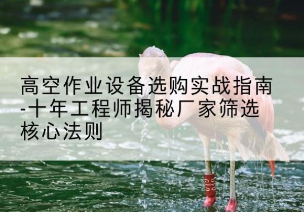筠连剪叉式升降机厂家-高空作业设备选购实战指南-十年工程师揭秘厂家筛选核心法则